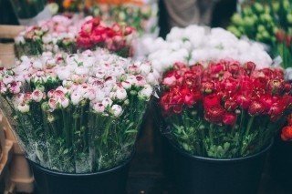 Этапы открытия цветочного магазина